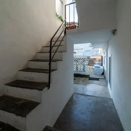 Loving Loppia - Lavanda