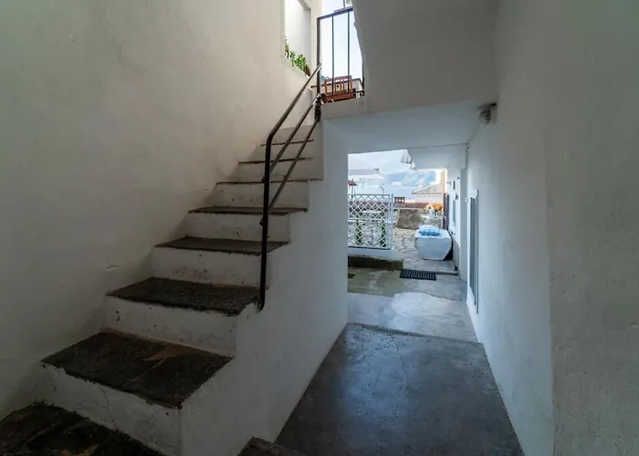 Loving Loppia - Lavanda